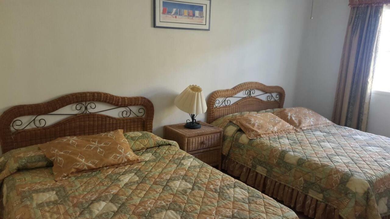 Paradise Villa In Palma Real 拉塞瓦 外观 照片